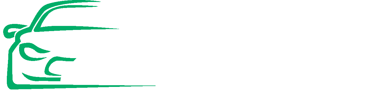 SV-ZIEGLER Logo
